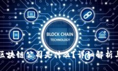美国议会区块链公司是什么？详细解析与应用前