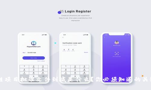 区块链项目批准文件到底是什么？你必须知道的关键要素