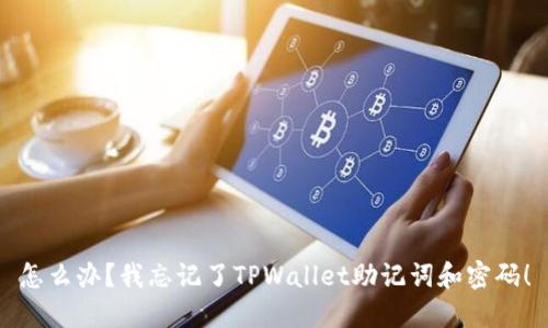 怎么办？我忘记了TPWallet助记词和密码！