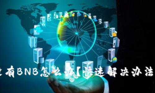 TPWallet没有BNB怎么办？快速解决办法和操作指南