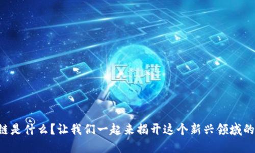 私募区块链是什么？让我们一起来揭开这个新兴领域的神秘面纱！