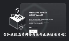 你知道现在有哪些成熟的区块链项目吗？