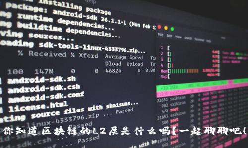 你知道区块链的L2层是什么吗？一起聊聊吧！