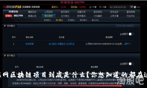 互联网区块链项目到底是什么？你想知道的都在这里！
