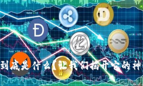 区块链到底是什么？让我们揭开它的神秘面纱！