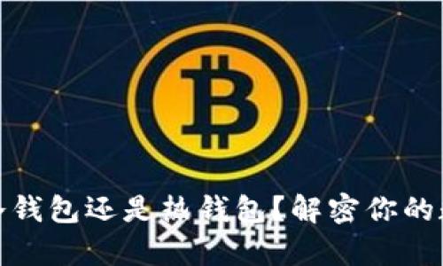 tpwallet究竟是冷钱包还是热钱包？解密你的数字资产保护策略