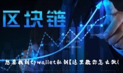 想要找到tpwallet私钥？这里教你怎么做！