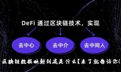 区块链数据映射到底是什么？来了就告诉你！