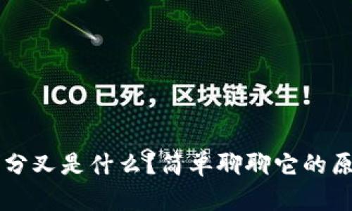 区块链软分叉是什么？简单聊聊它的原理与应用