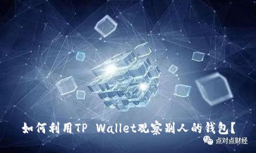 如何利用TP Wallet观察别人的钱包？