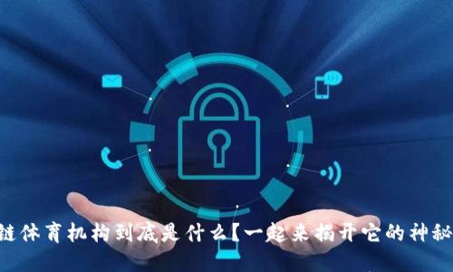 区块链体育机构到底是什么？一起来揭开它的神秘面纱！