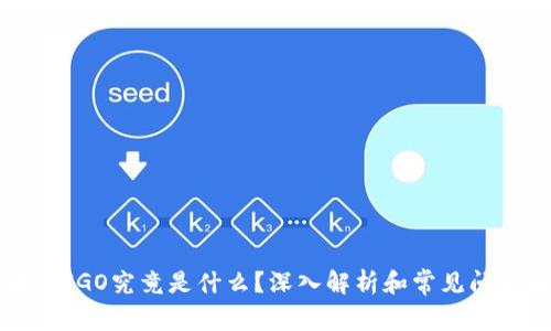 区块链IGO究竟是什么？深入解析和常见问题解答