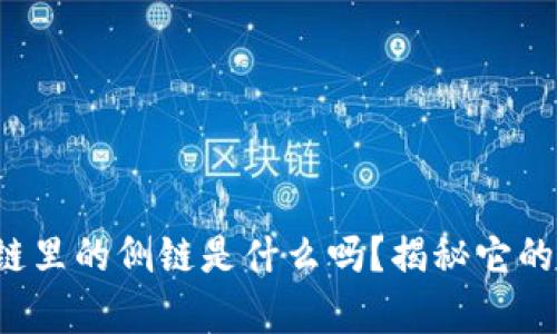 你知道区块链里的侧链是什么吗？揭秘它的魔力和应用！