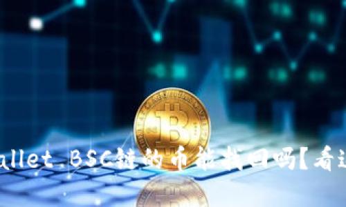 tpwallet BSC链的币能找回吗？看这里！