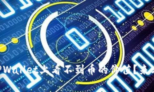 为什么我在TPWallet上看不到币的价值？来看看常见问题！