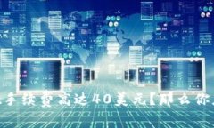 为何TPWallet手续费高达40美元？那么你应该了解这