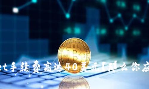 为何TPWallet手续费高达40美元？那么你应该了解这些！