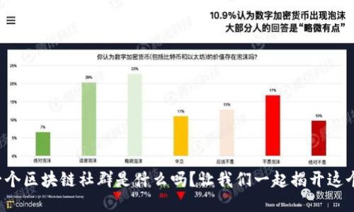 你知道第一个区块链社群是什么吗？让我们一起揭开这个神秘面纱！