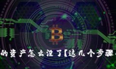 TP钱包里的资产怎么没了？这几个步骤帮你找回！