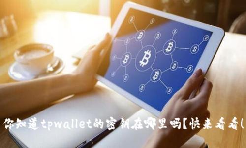 你知道tpwallet的密钥在哪里吗？快来看看！