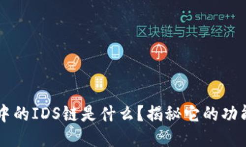 区块链中的IDS链是什么？揭秘它的功能与应用