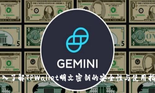 深入了解TPWallet明文密钥的安全性与使用指南