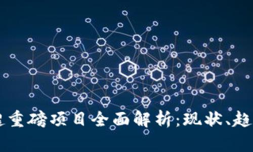 区块链超重磅项目全面解析：现状、趋势与未来