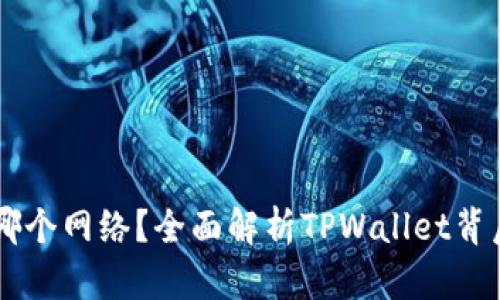 TPWallet属于哪个网络？全面解析TPWallet背后的区块链技术