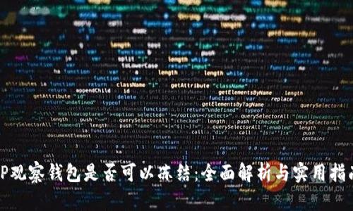 TP观察钱包是否可以冻结：全面解析与实用指南