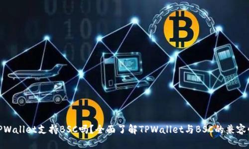 TPWallet支持BSC吗？全面了解TPWallet与BSC的兼容性