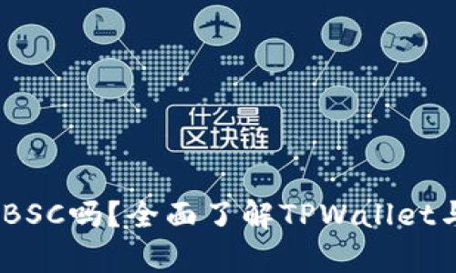 TPWallet支持BSC吗？全面了解TPWallet与BSC的兼容性