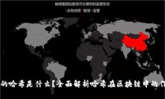 区块链中的哈希是什么？全面解析哈希在区块链