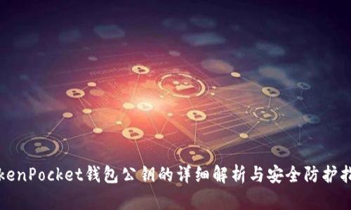 TokenPocket钱包公钥的详细解析与安全防护指南