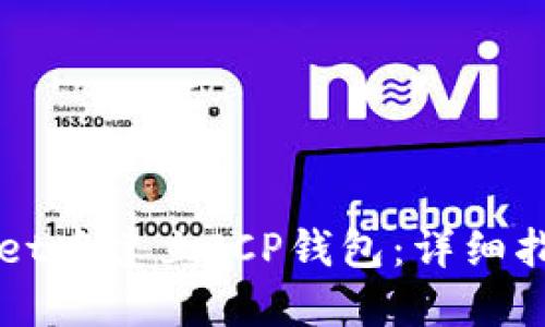 如何在TPWallet中建立ICP钱包：详细指南与实用技巧