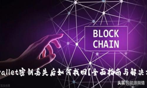 tpwallet密钥丢失后如何找回？全面指南与解决方案