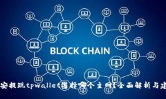 币安提现tpwallet选择哪个主网？全面解析与建议