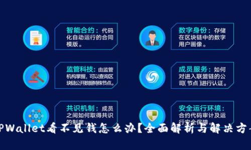 TPWallet看不见钱怎么办？全面解析与解决方案