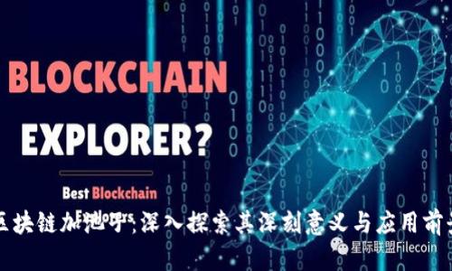 区块链加池子：深入探索其深刻意义与应用前景