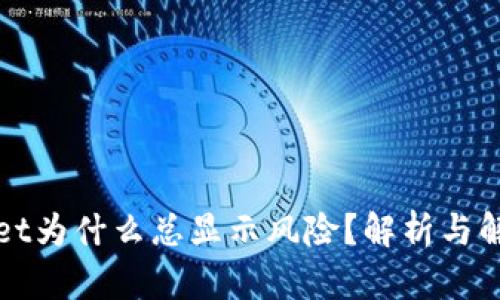 TPWallet为什么总显示风险？解析与解决方案