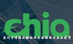 惠州丰泽楼区块链的全面解析与未来展望