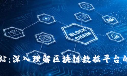区块链数据站：深入理解区块链数据平台的概念与功能