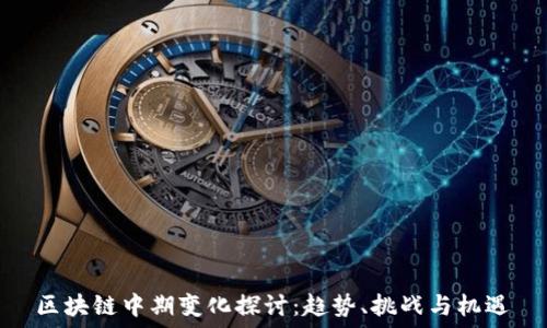  
区块链中期变化探讨：趋势、挑战与机遇