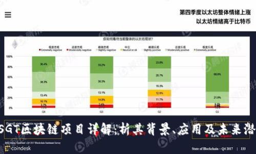 BSGT区块链项目详解：析其背景、应用及未来潜力
