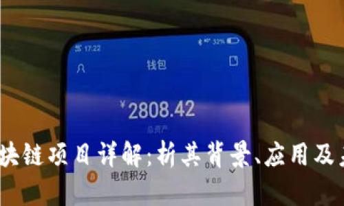 BSGT区块链项目详解：析其背景、应用及未来潜力