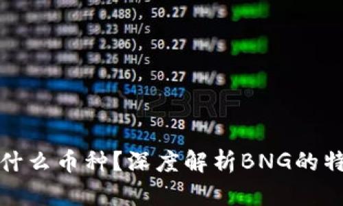区块链BNG是什么币种？深度解析BNG的特点与未来发展